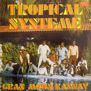 Tropical Systeme
