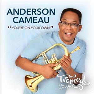 You're on Your Own - Anderson Cameau