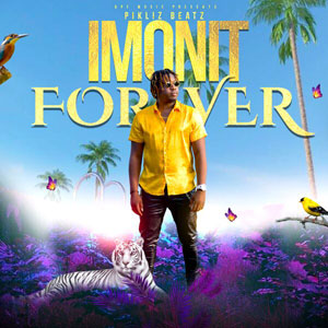 Imonit Forever - Pikliz Beatz